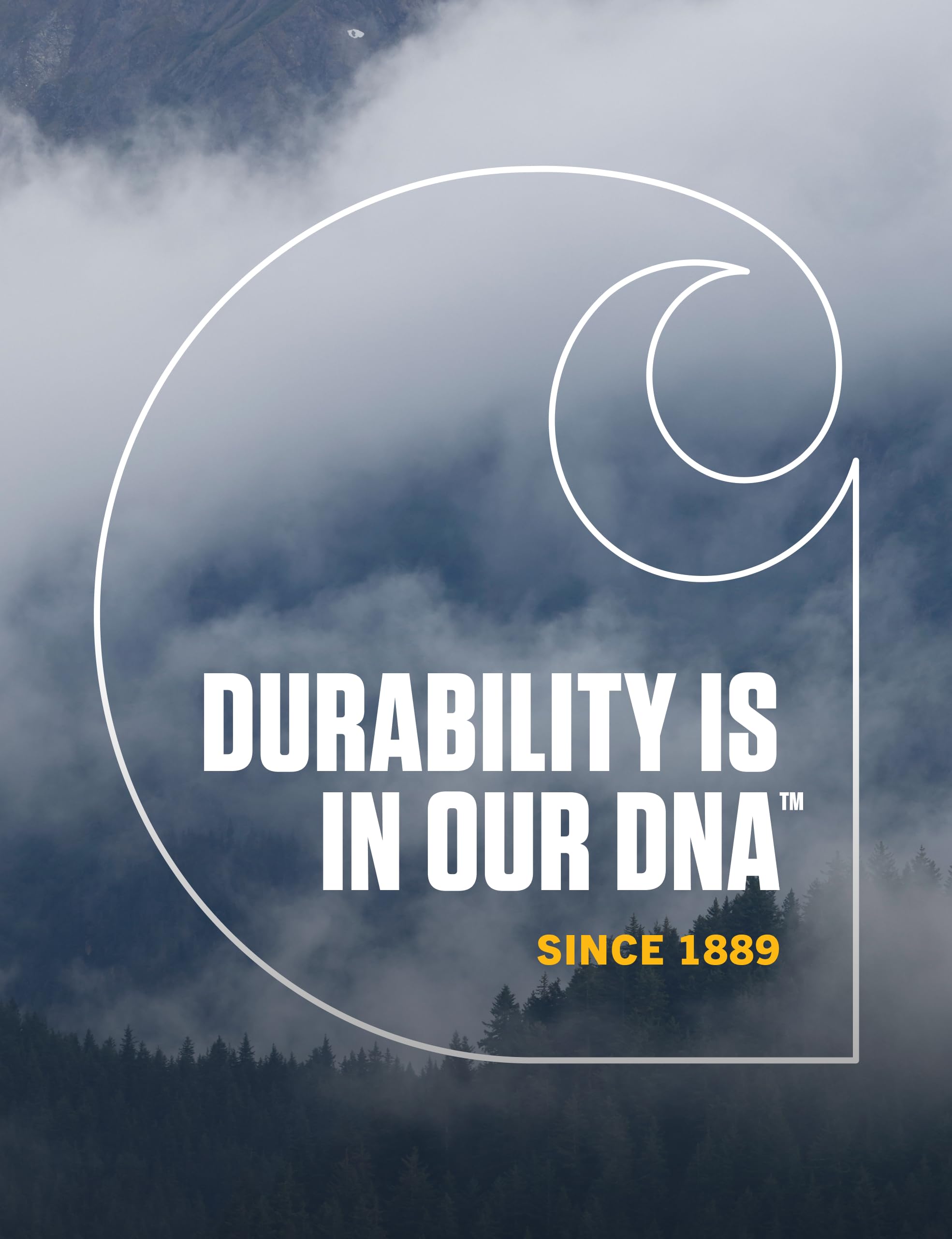 Carhartt Mens Knit Cuffed Beanie Hat, Black, One Size US